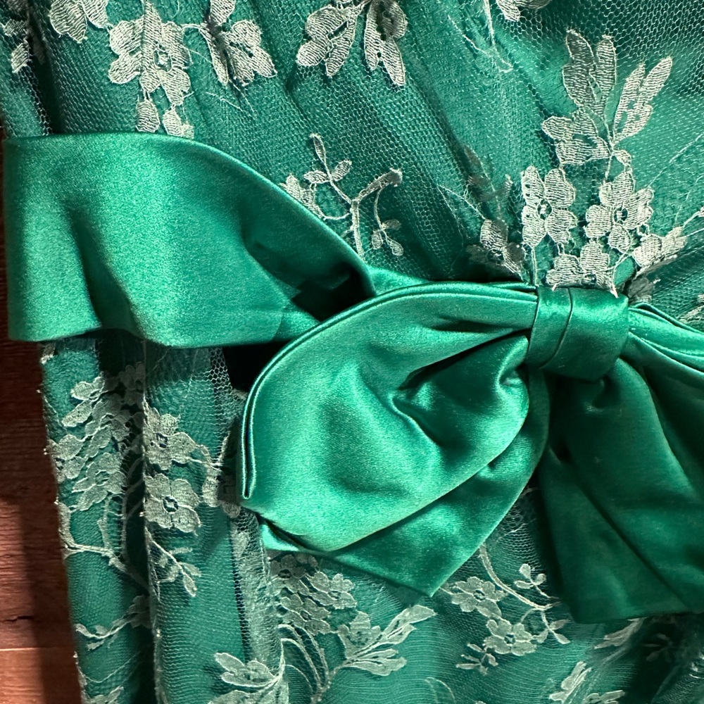 Vintage 1960s Malcolm Starr Chantilly Lace Emerald Green Maxi Dress - Picture 6 of 6